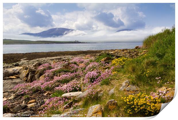 Isle of Hoy in Summer Orkney Scotland Print by Barbara Jones
