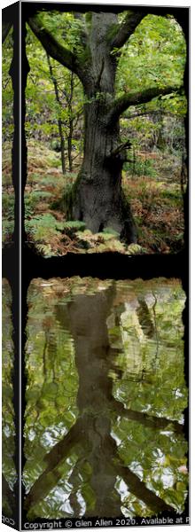 Reflected Tree in the Canal Canvas Print by Glen Allen