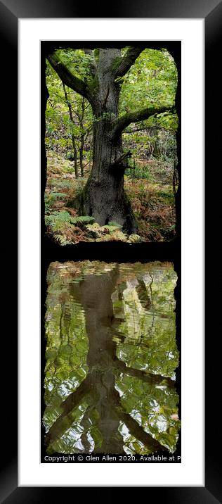 Reflected Tree in the Canal Framed Mounted Print by Glen Allen