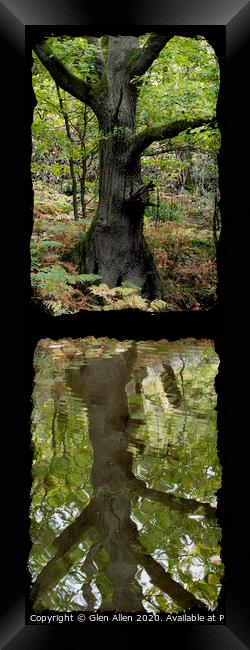 Reflected Tree in the Canal Framed Print by Glen Allen