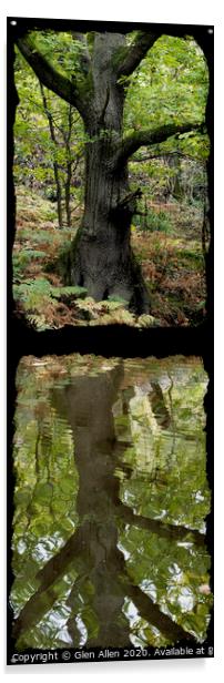 Reflected Tree in the Canal Acrylic by Glen Allen