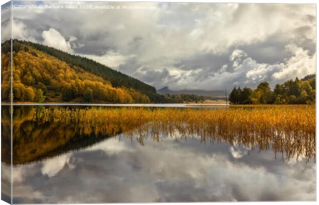 Loch Pityoulish in Autumn, Cairngorms Scotland Canvas Print by Barbara Jones