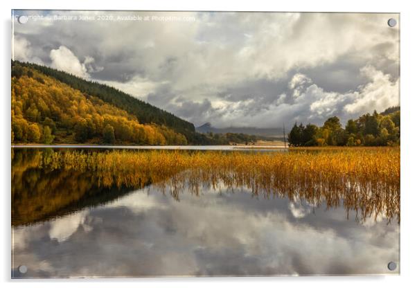 Loch Pityoulish in Autumn, Cairngorms Scotland Acrylic by Barbara Jones