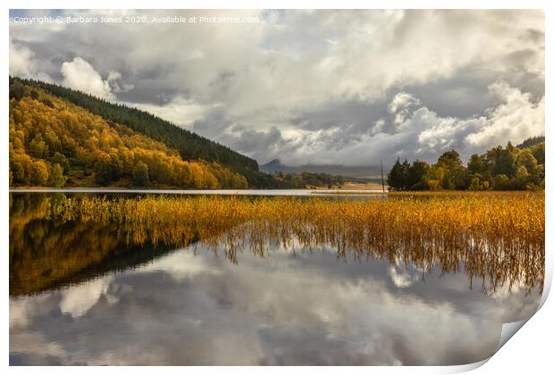 Loch Pityoulish in Autumn, Cairngorms Scotland Print by Barbara Jones