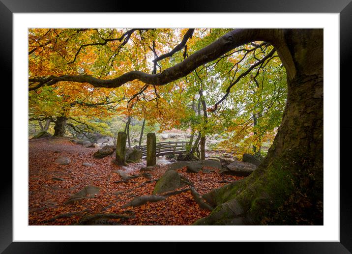 Burbage Brook in autumn, Peak District, Derbyshire Framed Mounted Print by Andrew Kearton