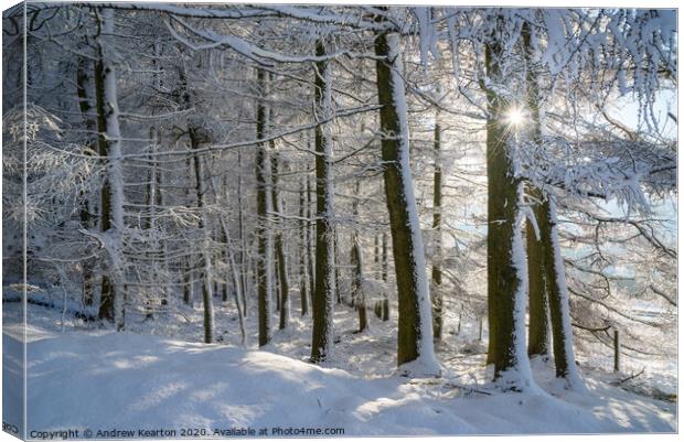 Sunlight in a snow covered forest, Tintwistle, Glossop, Derbyshire Canvas Print by Andrew Kearton