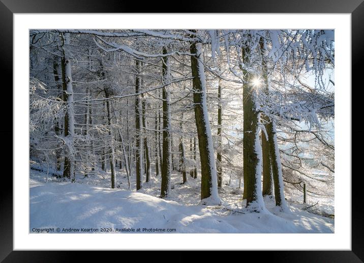 Sunlight in a snow covered forest, Tintwistle, Glossop, Derbyshire Framed Mounted Print by Andrew Kearton