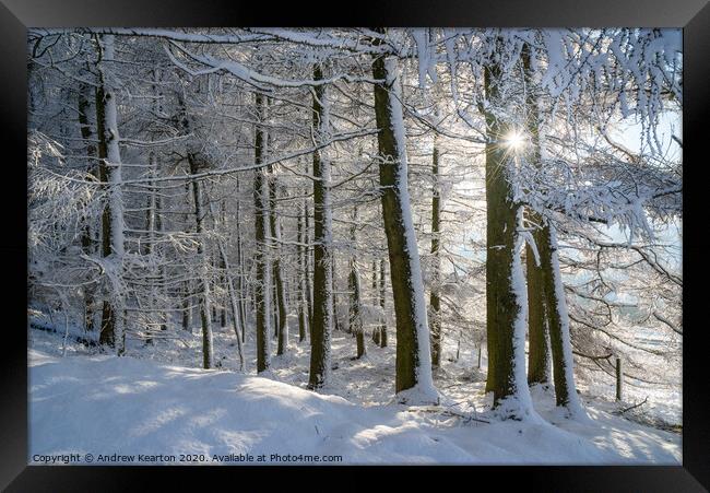 Sunlight in a snow covered forest, Tintwistle, Glossop, Derbyshire Framed Print by Andrew Kearton