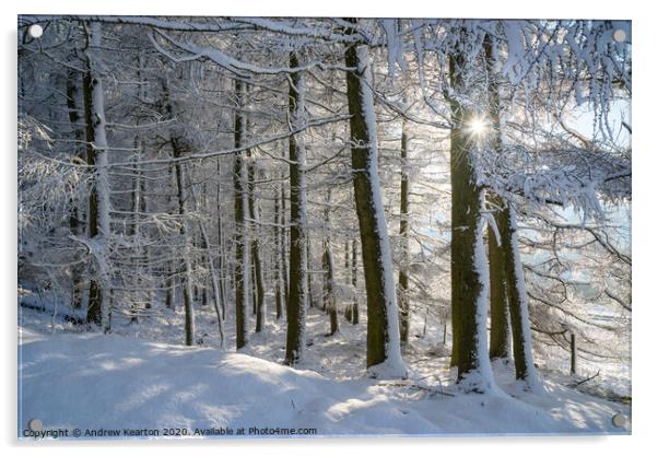 Sunlight in a snow covered forest, Tintwistle, Glossop, Derbyshire Acrylic by Andrew Kearton