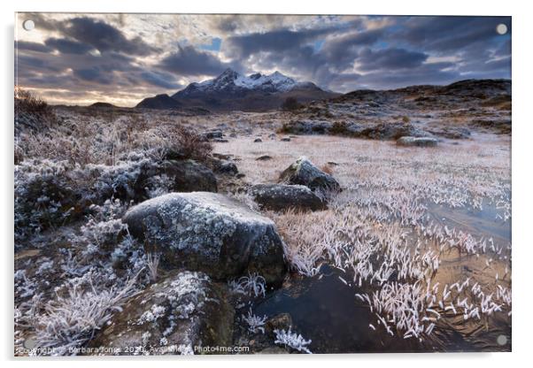 Sgurr nan Gillean in Winter Isle of Skye Scotland Acrylic by Barbara Jones