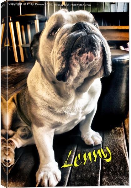 Lenny the Bulldog sitting in a Pub, Colour Version Canvas Print by Philip Brown