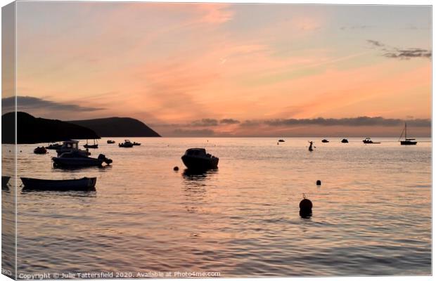 Pink sunset at the Parrog,  Pembrokeshire  Canvas Print by Julie Tattersfield