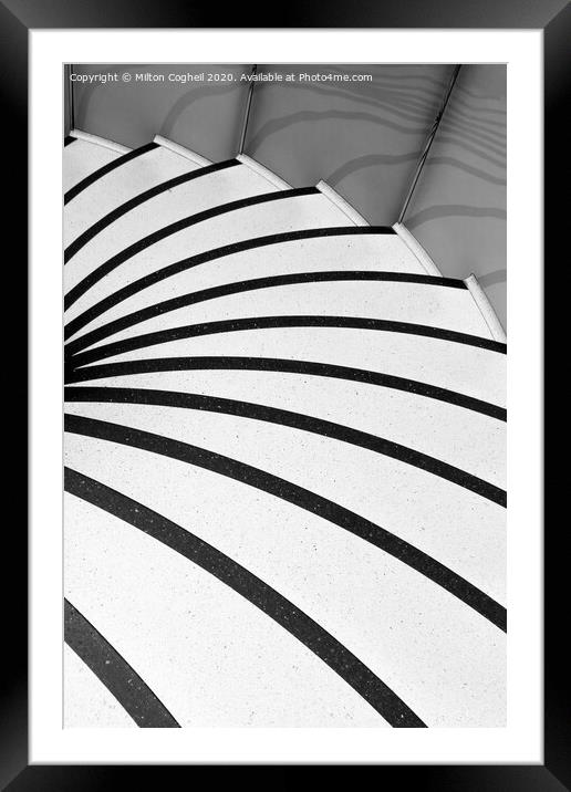 Spiral Zebra Framed Mounted Print by Milton Cogheil