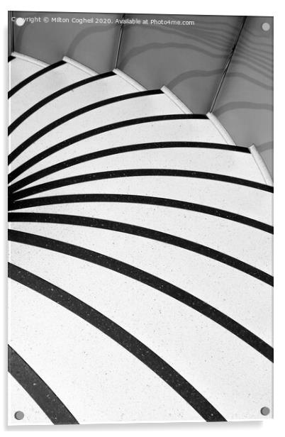 Spiral Zebra Acrylic by Milton Cogheil