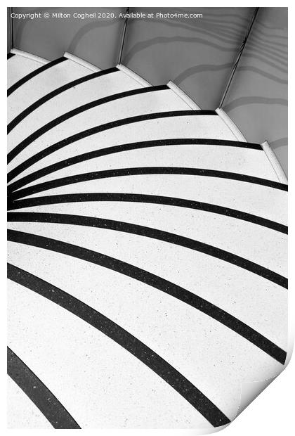 Spiral Zebra Print by Milton Cogheil