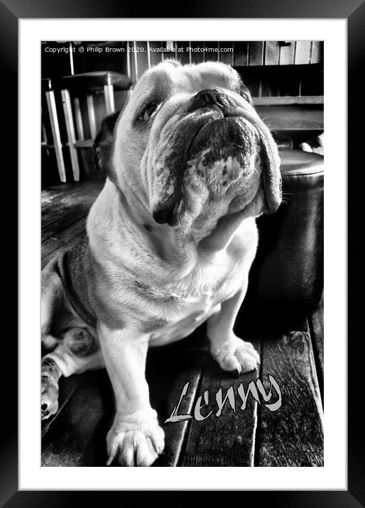 Lenny the Bulldog sitting in a Pub, B&W Version Framed Mounted Print by Philip Brown