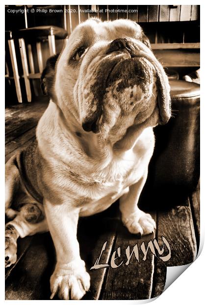 Lenny the Bulldog sitting in a Pub, Sepia Version Print by Philip Brown