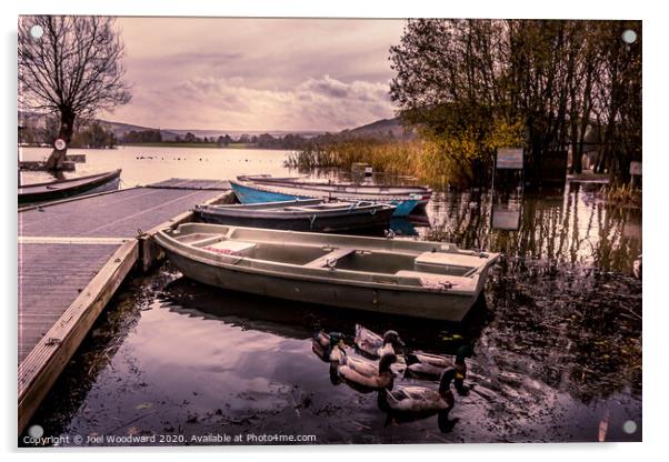 Llangorse Lake Acrylic by Joel Woodward