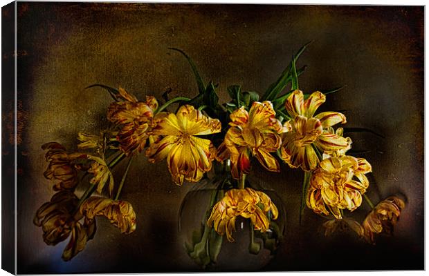 Yellow Tulips Canvas Print by Ann Garrett