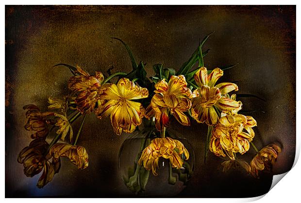 Yellow Tulips Print by Ann Garrett