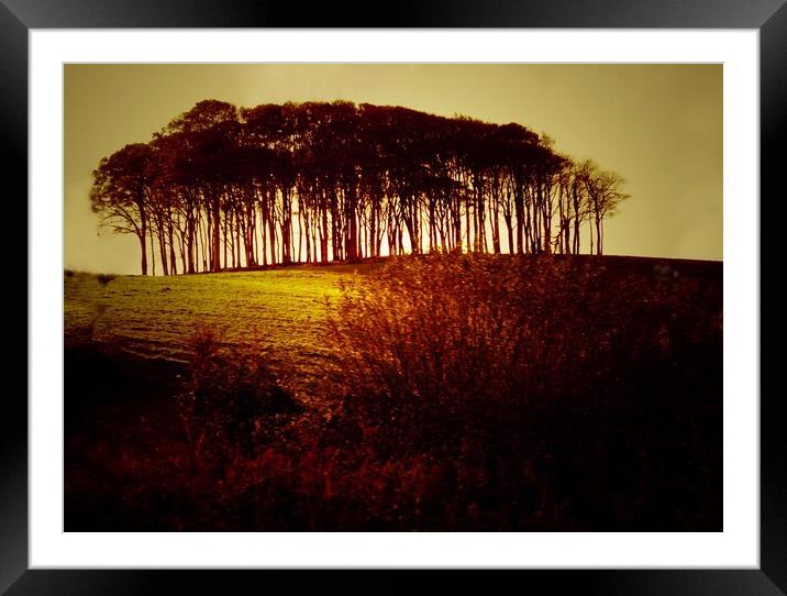 The Coming Home Trees in Autumn  Framed Mounted Print by Beryl Curran