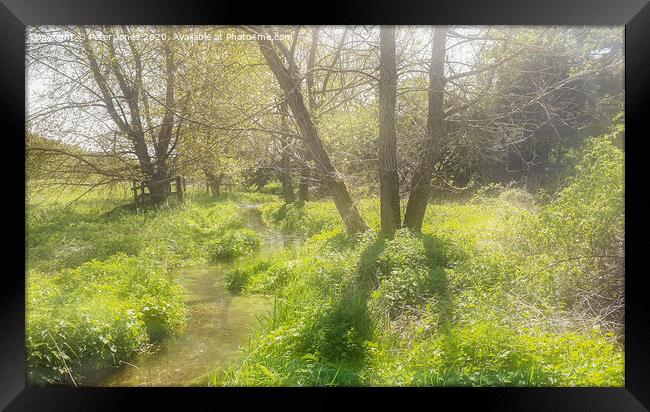 River Misbourne in Spring Framed Print by Peter Jones