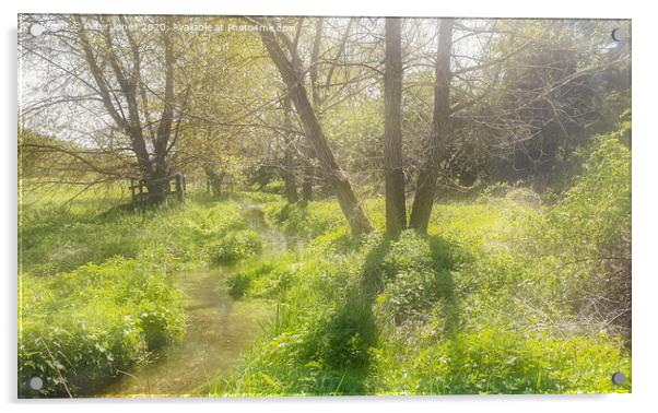 River Misbourne in Spring Acrylic by Peter Jones