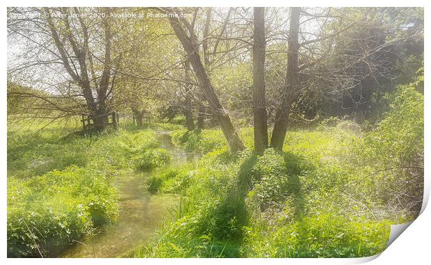 River Misbourne in Spring Print by Peter Jones