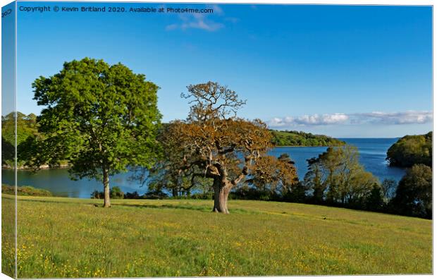 river fal cornwall Canvas Print by Kevin Britland