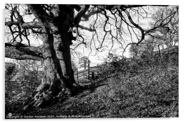 Monochrome Tree St Arvans Acrylic by Gordon Maclaren