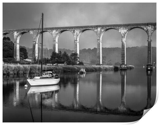 Calstock Viaduct & River Tamar Print by Darren Galpin