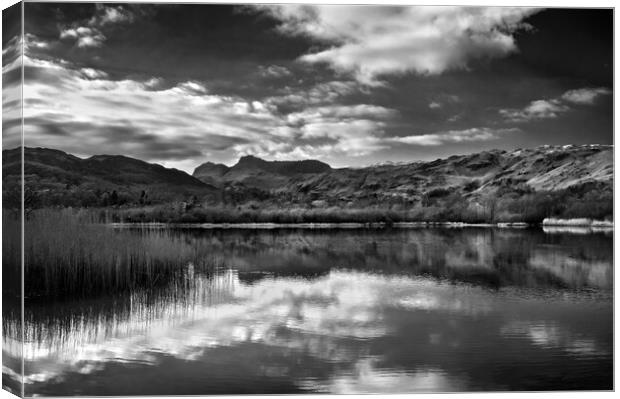 Elter Water Reflections Canvas Print by Darren Galpin