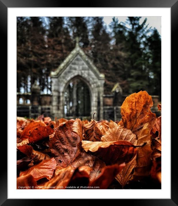 Autumn Leaves Framed Mounted Print by Ashley Bremner