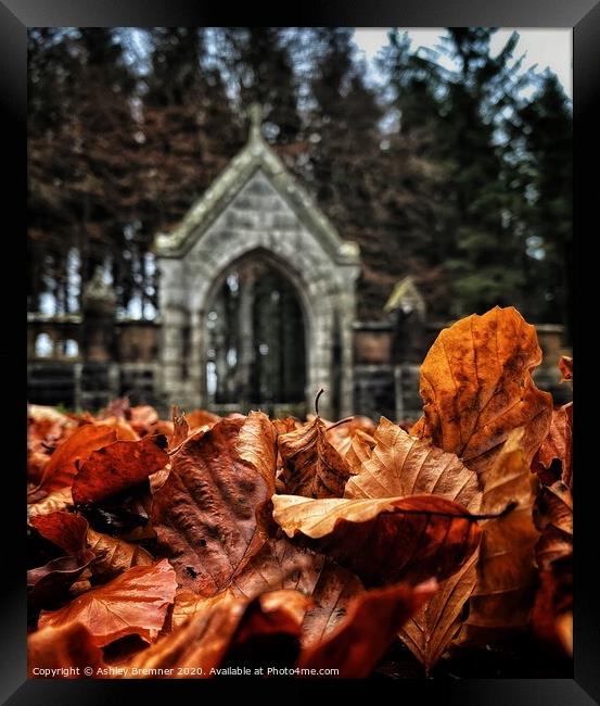 Autumn Leaves Framed Print by Ashley Bremner