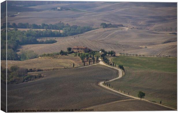 Tuscan Landscape Canvas Print by Beverley Middleton