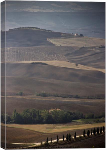 Rolling Tuscan Hills Canvas Print by Beverley Middleton
