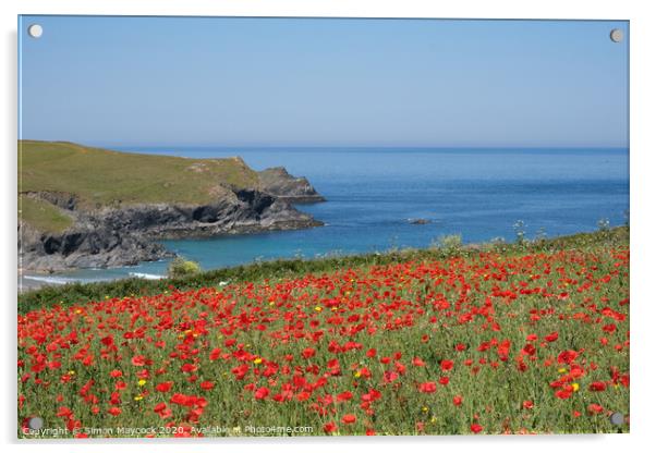 West Pentire poppy field Acrylic by Simon Maycock