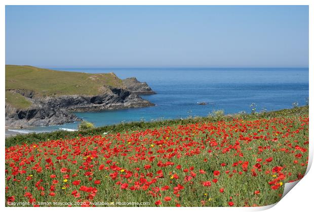 West Pentire poppy field Print by Simon Maycock