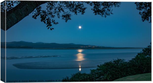Moonlight over Harlech Canvas Print by David Belcher