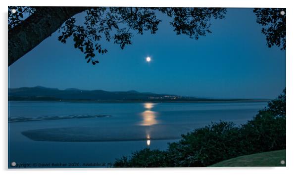 Moonlight over Harlech Acrylic by David Belcher