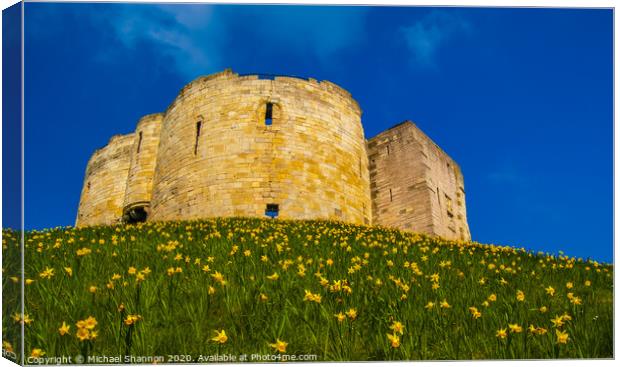 Cliffords Tower in York Canvas Print by Michael Shannon
