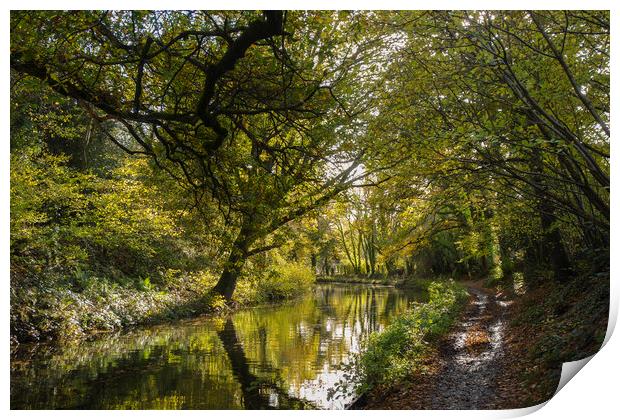 Basingstoke Canal Autumn Print by Philip Enticknap
