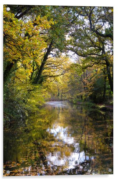 Basingstoke Canal Autumn Acrylic by Philip Enticknap