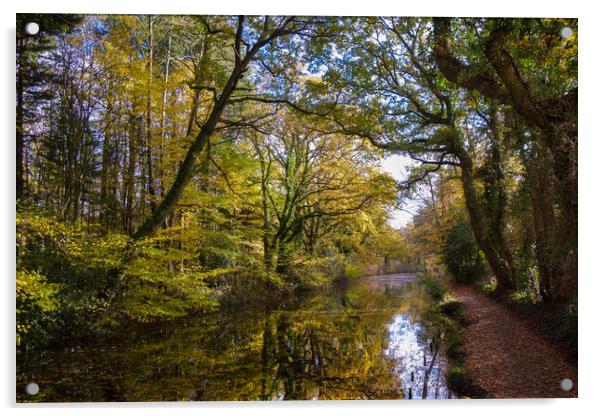 Basingstoke Canal Autumn Acrylic by Philip Enticknap