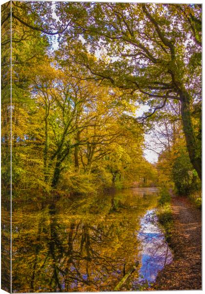 Basingstoke Canal Autumn Canvas Print by Philip Enticknap