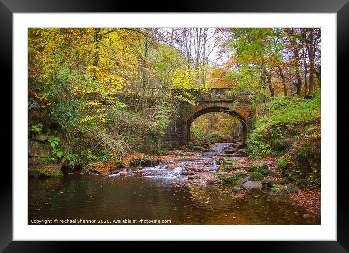 Autumn Woodland Scene near Falling Foss, North Yor Framed Mounted Print by Michael Shannon