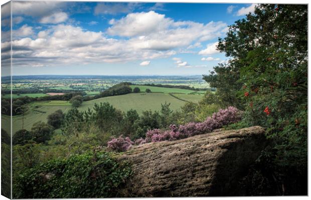 Overlooking the Cheshire Plain Canvas Print by Wendy Williams CPAGB