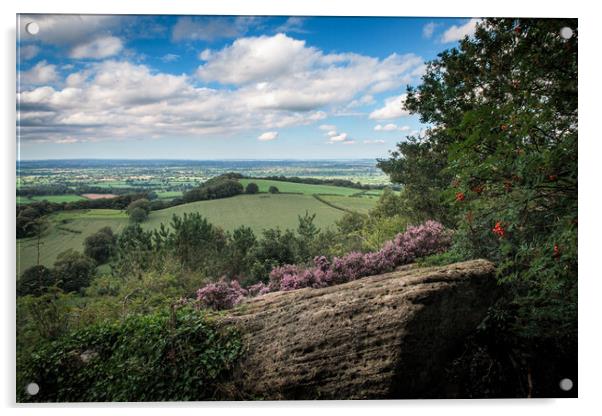 Overlooking the Cheshire Plain Acrylic by Wendy Williams CPAGB