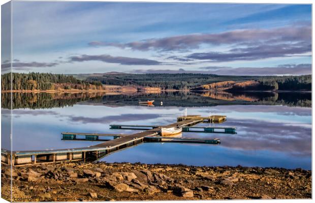 Enchanting Kielder: Forest, Reservoir, and Beyond Canvas Print by Holly Burgess