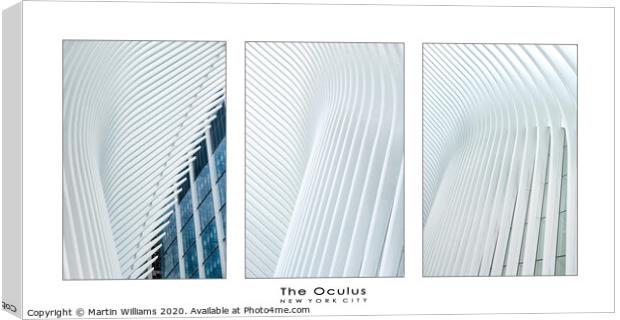 Triptych of Oculus abstracts Canvas Print by Martin Williams